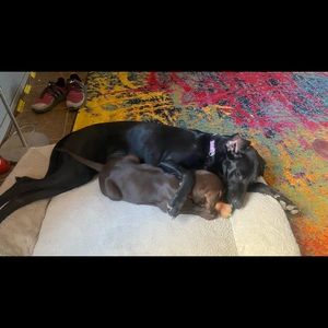 Meet your Posher, David